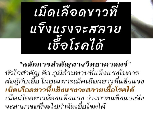 5 วิธีการที่จะทำให้เม็ดเลือดขาวแข็งแรง