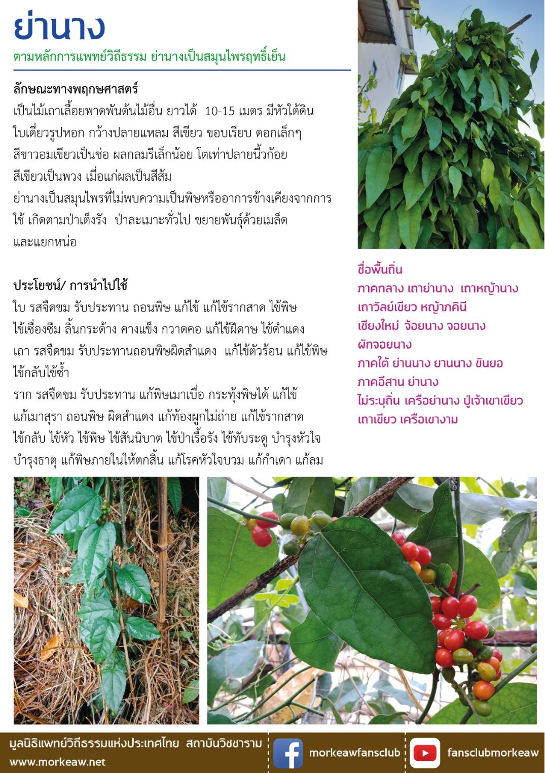 ย่านาง