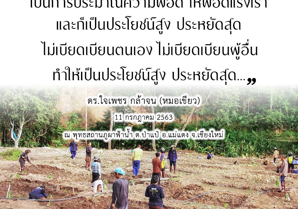 ธรรมะกับการทำนาแปลงเล็ก